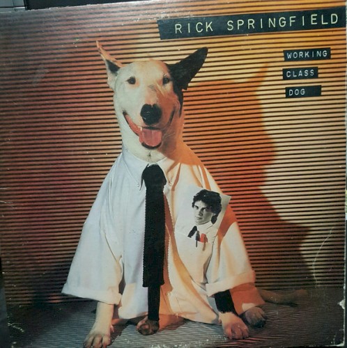 Rick Springfield — Working Class Dog cover