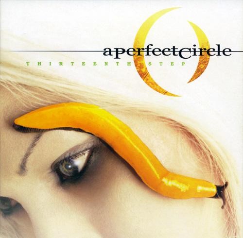 A Perfect Circle — Thirteenth Step cover