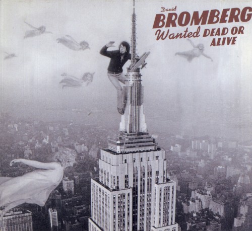 David Bromberg — Wanted Dead or Alive cover