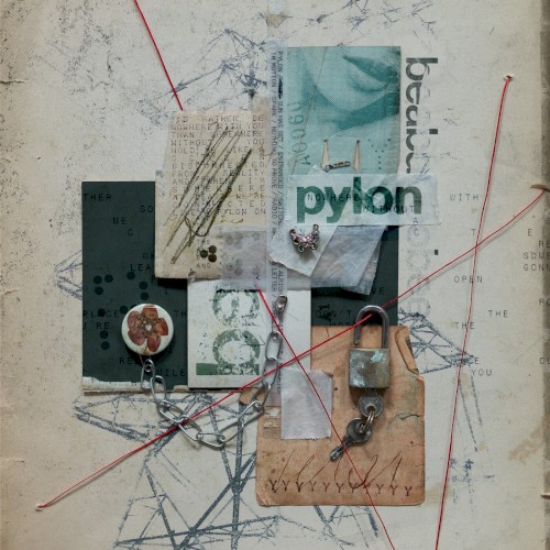 beabadoobee — Pylon cover