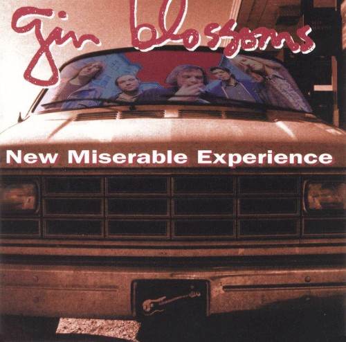 Gin Blossoms — New Miserable Experience cover