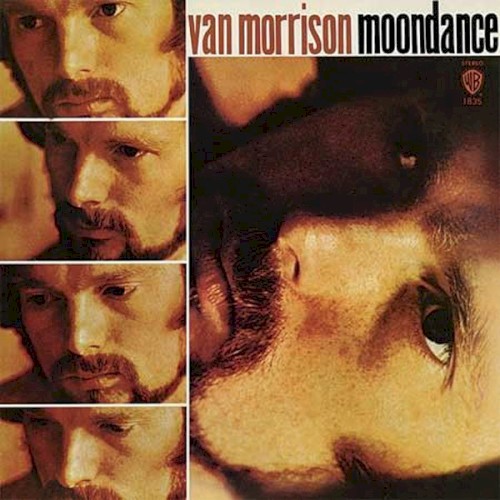 Van Morrison — Moondance cover