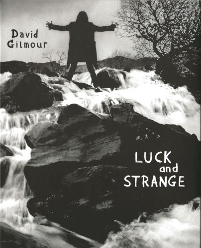 David Gilmour — Luck and Strange cover