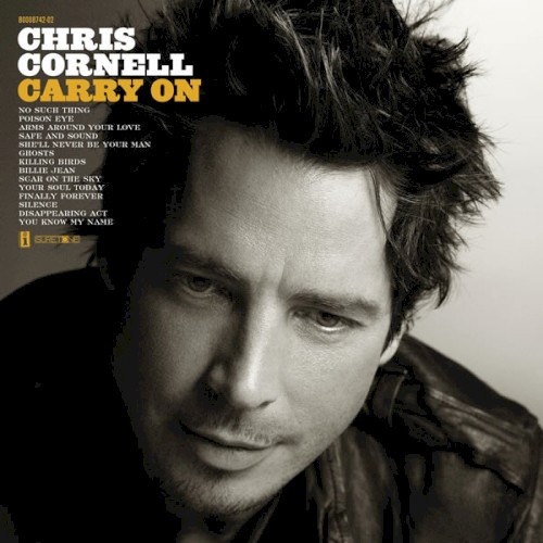 Chris Cornell — Carry On cover