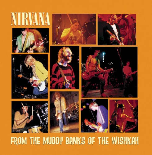 Nirvana — From the Muddy Banks of the Wishkah cover