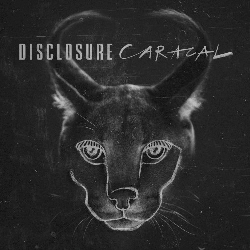 Disclosure — Caracal cover
