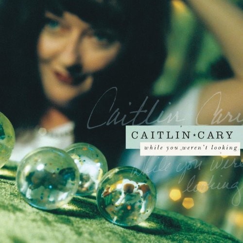 Caitlin Cary — While You Weren't Looking cover