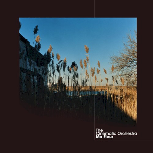 The Cinematic Orchestra — Ma fleur cover