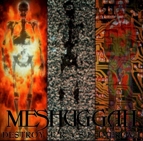 Meshuggah — Destroy Erase Improve cover