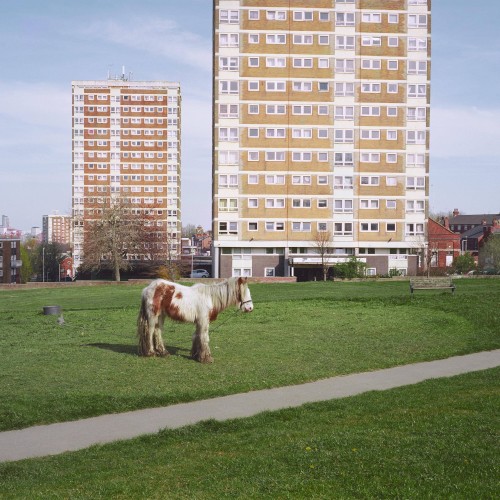 Westside Cowboy — It Goes On cover