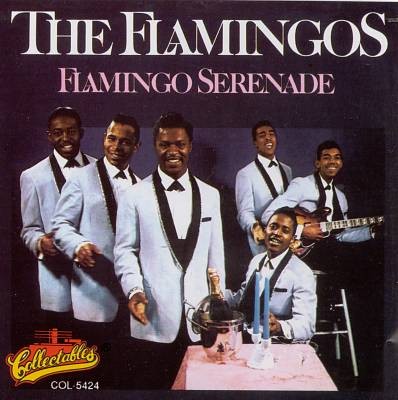 The Flamingos — Flamingo Serenade cover