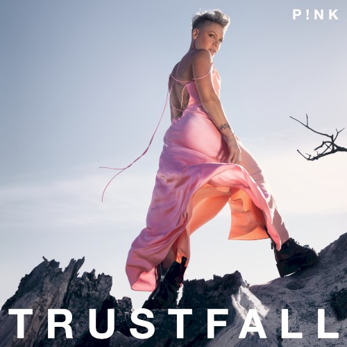P!nk — TRUSTFALL cover