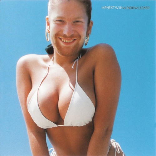 Aphex Twin — Windowlicker cover