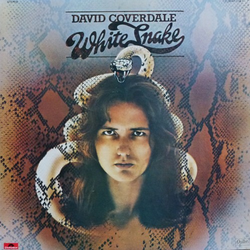 David Coverdale — Whitesnake cover