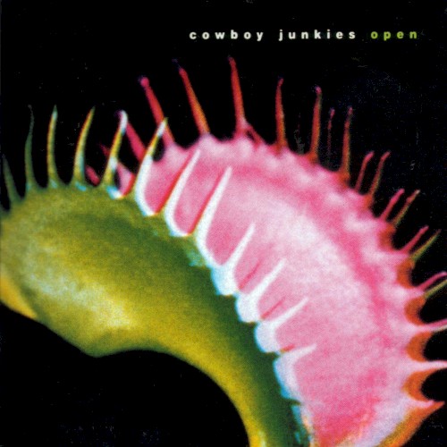 Cowboy Junkies — Open cover