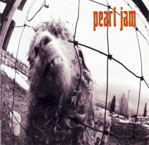 Pearl Jam — Vs. cover