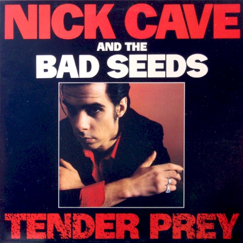 Nick Cave and the Bad Seeds — Tender Prey cover
