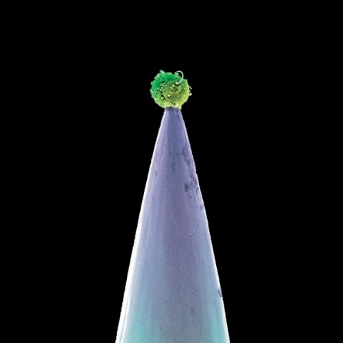 Peter Gabriel — New Blood cover