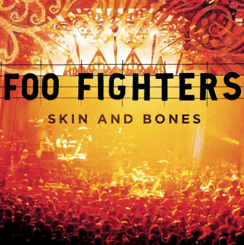 Foo Fighters — Skin and Bones cover