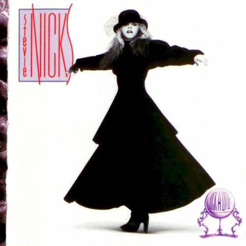 Stevie Nicks — Rock a Little cover