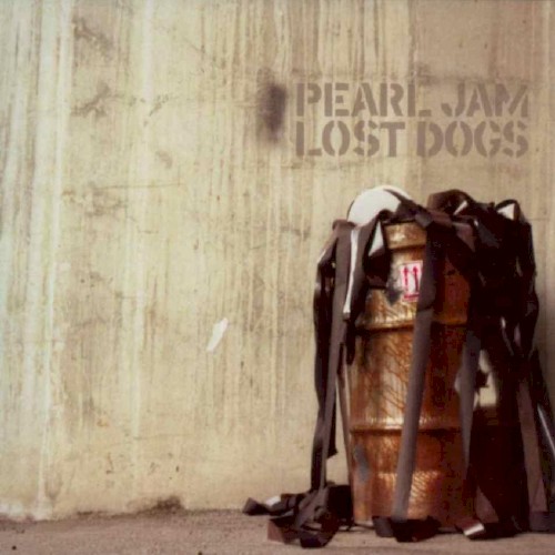 Pearl Jam — Lost Dogs cover