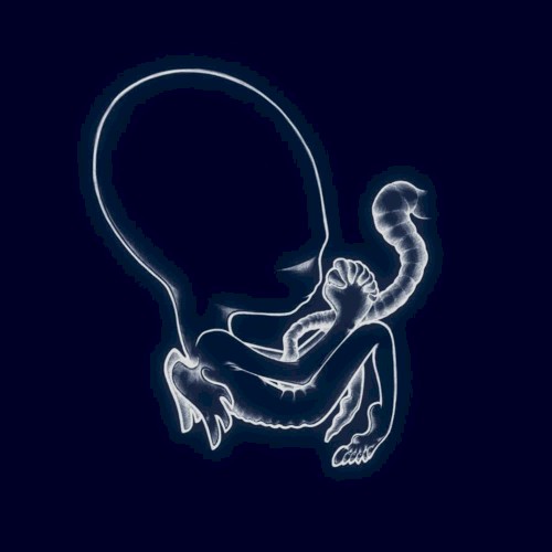 Sigur Rós — Ágætis byrjun cover