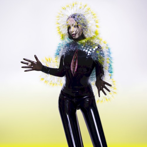 Björk — Vulnicura cover
