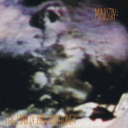 Ministry — The Land of Rape and Honey cover