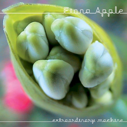 Fiona Apple — Extraordinary Machine cover