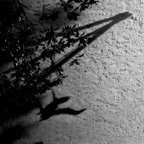 Max Richter — The Blue Notebooks cover