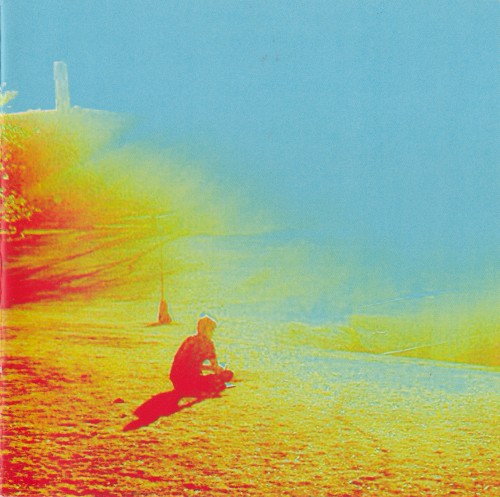 The Flaming Lips — The Terror cover