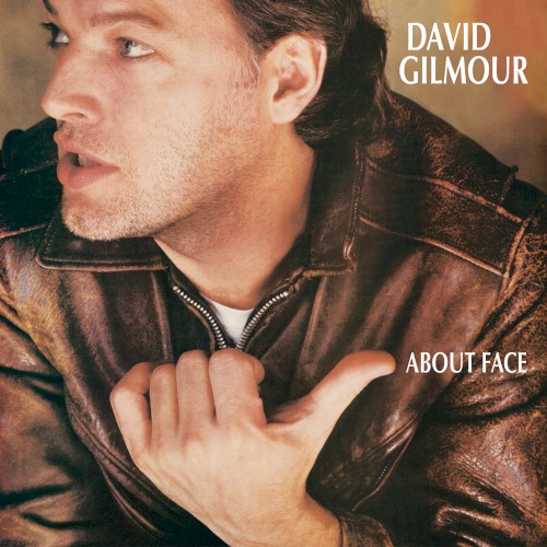 David Gilmour — About Face cover