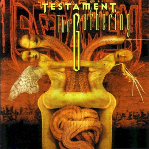 Testament — The Gathering cover