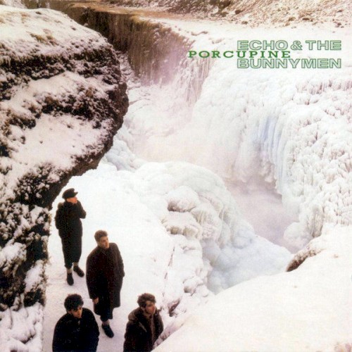 Echo & the Bunnymen — Porcupine cover