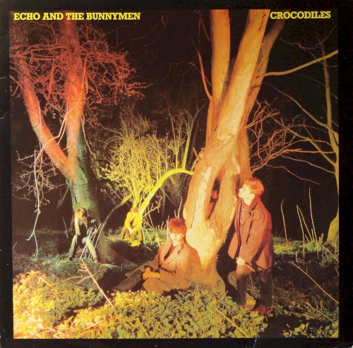 Echo & The Bunnymen — Crocodiles cover