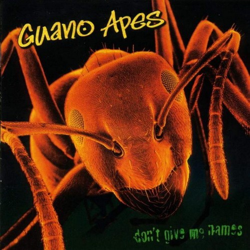 Guano Apes — Don’t Give Me Names cover