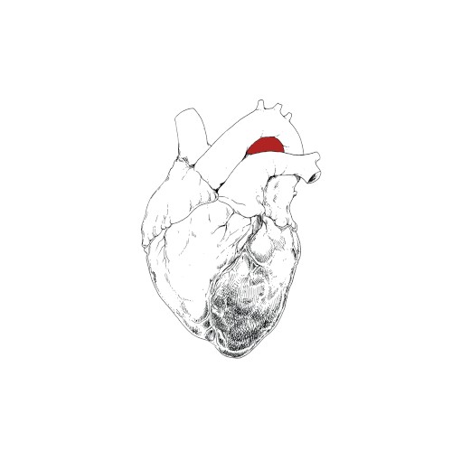 Swans — The Beggar cover
