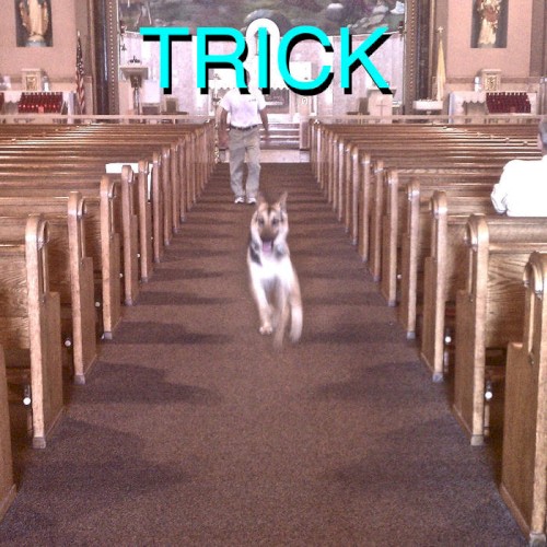 Alex G — Trick cover