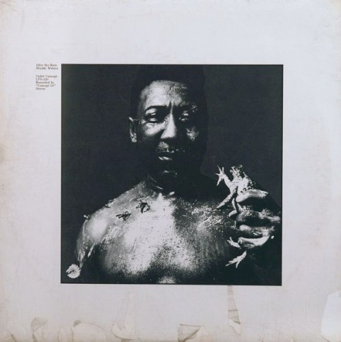 Muddy Waters — After the Rain cover