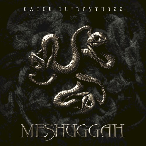 Meshuggah — Catch Thirtythree cover