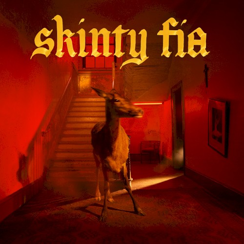 Fontaines D.C. — Skinty Fia cover