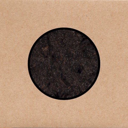 Swans — Birthing cover