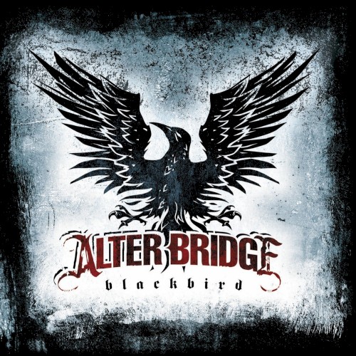Alter Bridge — Blackbird cover