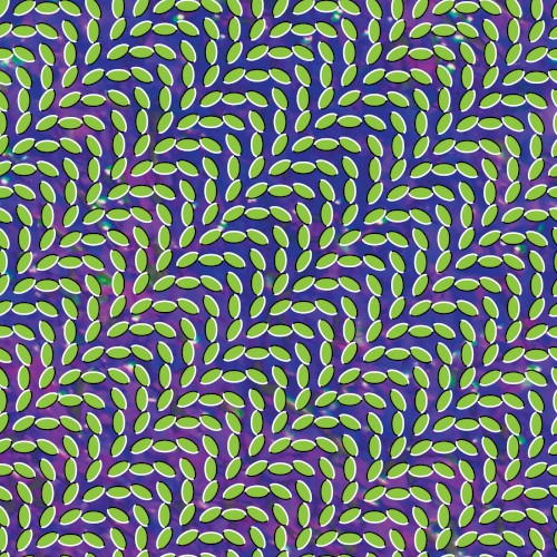 Animal Collective — Merriweather Post Pavilion cover