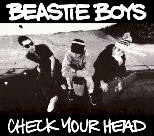 Beastie Boys — Check Your Head cover