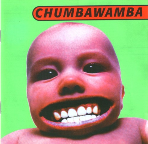Chumbawamba — Tubthumper cover