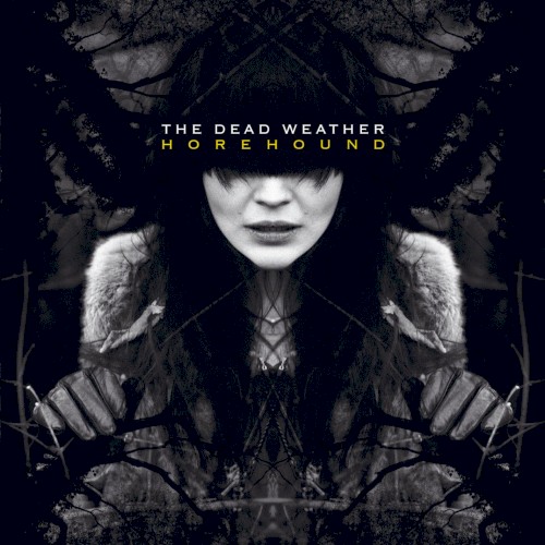 The Dead Weather — Horehound cover