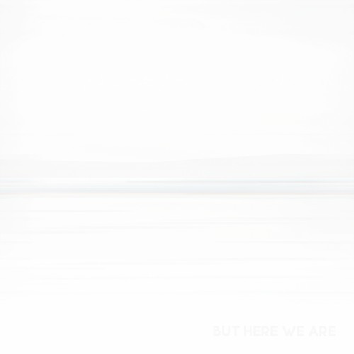 Foo Fighters — But Here We Are cover