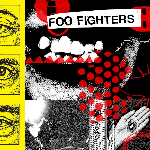 Foo Fighters — Your Favorite Toy cover
