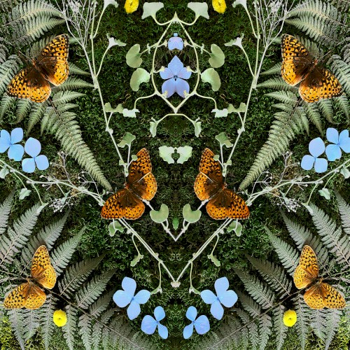 Jean‐Michel Blais — aubades cover